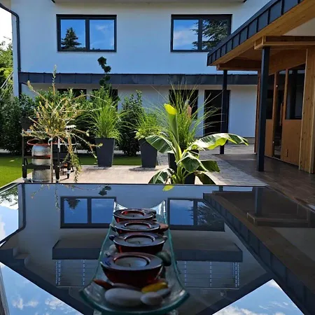 Viola Apartament Velence